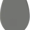 Abattant de toilette Fally gris soft close