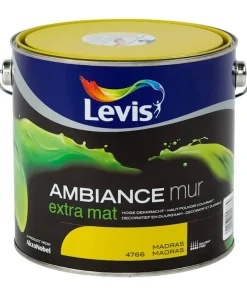 Ambiance mur extra mat madras 2,5 L