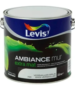 Ambiance mur gris versailles 2,5 L