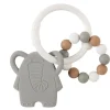 Anneau Dentition Elephant