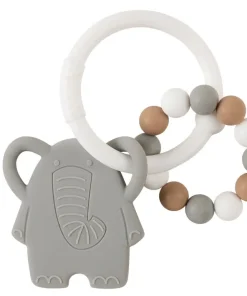 Anneau Dentition Elephant
