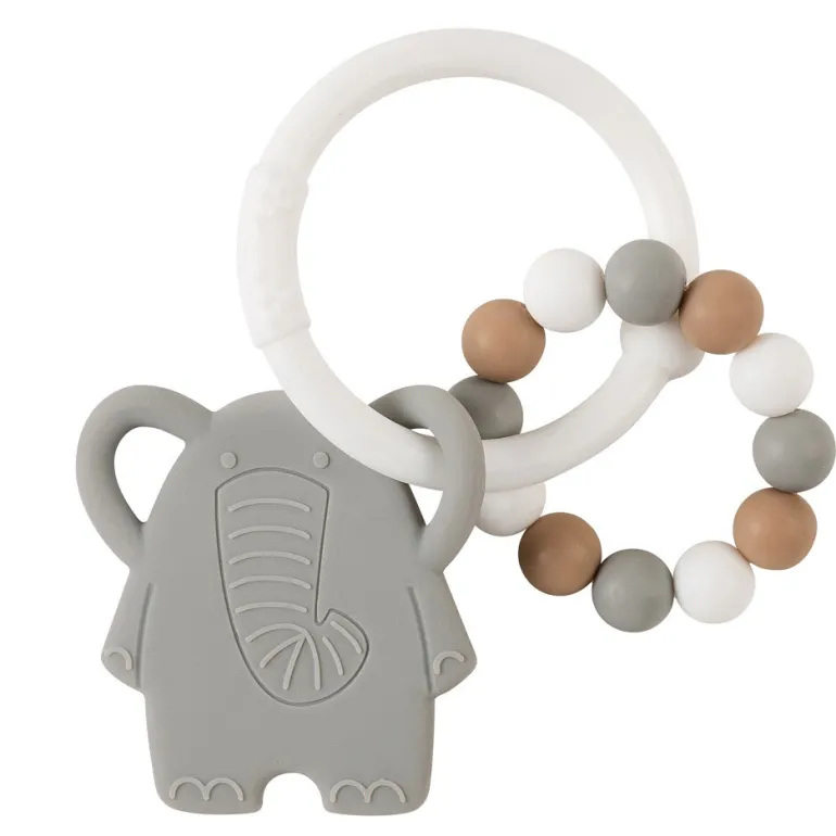 Anneau Dentition Elephant