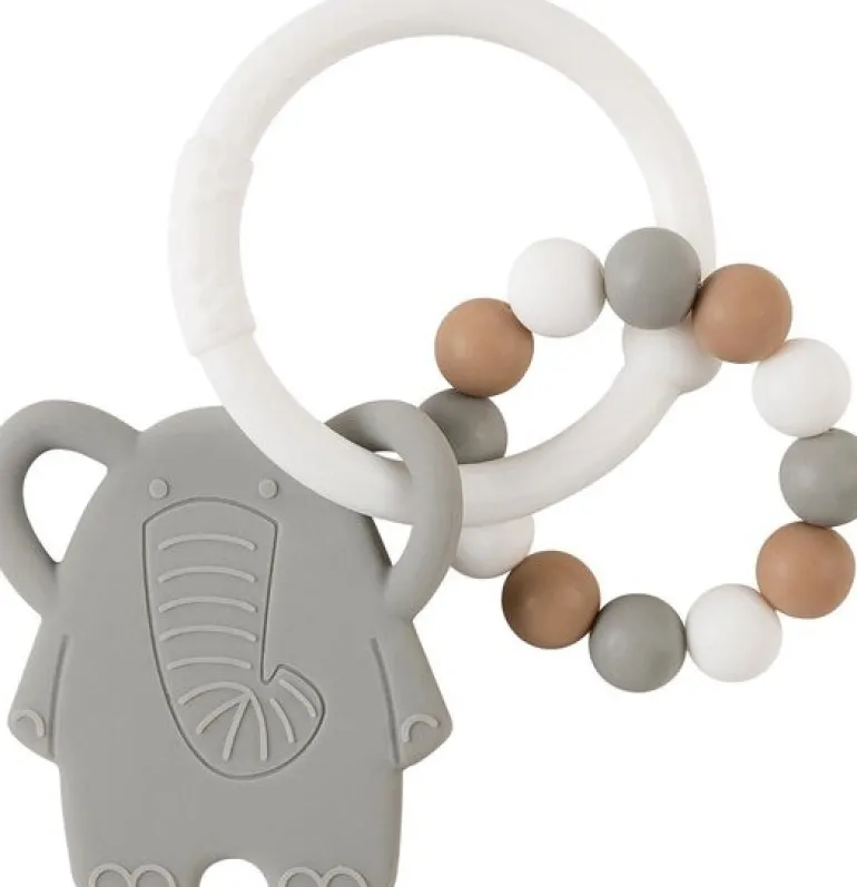 Anneau Dentition Elephant