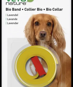 Bio Collier chien lavande