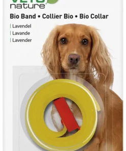 Bio Collier chien lavande