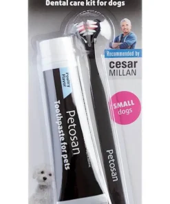 Brosse dents
