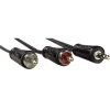 Cable audio 3,5 mm jack -2 cinch stereo 0,75 m 1 star