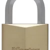 Cadenas 60 mm 11 mm diamètre 6 pins