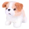 Chien Kenzo