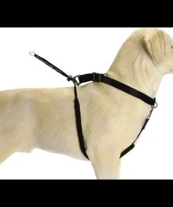 Collier Gentle Walker noir L