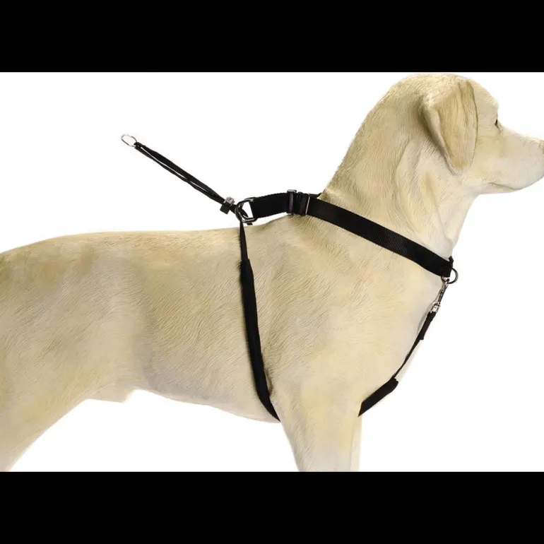 Collier Gentle Walker noir L