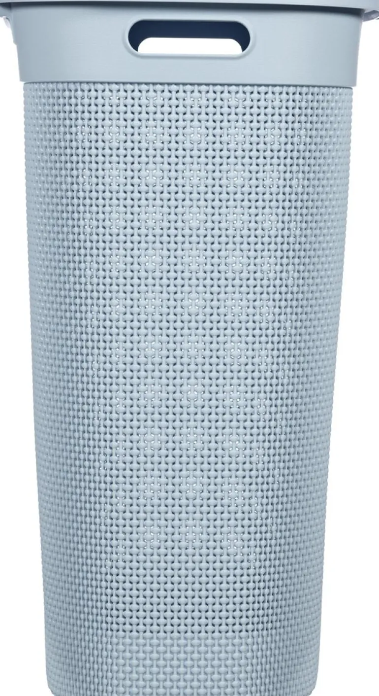 Curver Filo Panier à Linge avec Couvercle Bleu/Gris - 55L