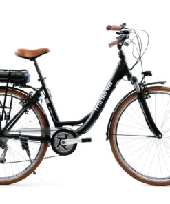 E-Bike Estrel Alivio C-motor 9-speed F 49 - Noir