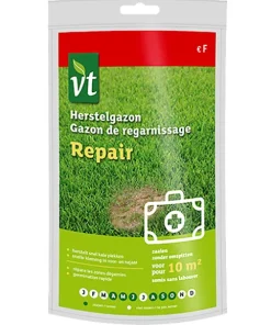 Gazon de regarnissage 200 g
