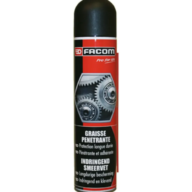 Graisse pénétrante 300 ml