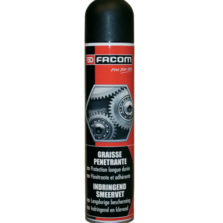 Graisse pénétrante 300 ml
