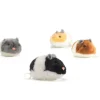 Hamster vibrant 4 couleurs