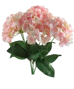 Hortensia Irina