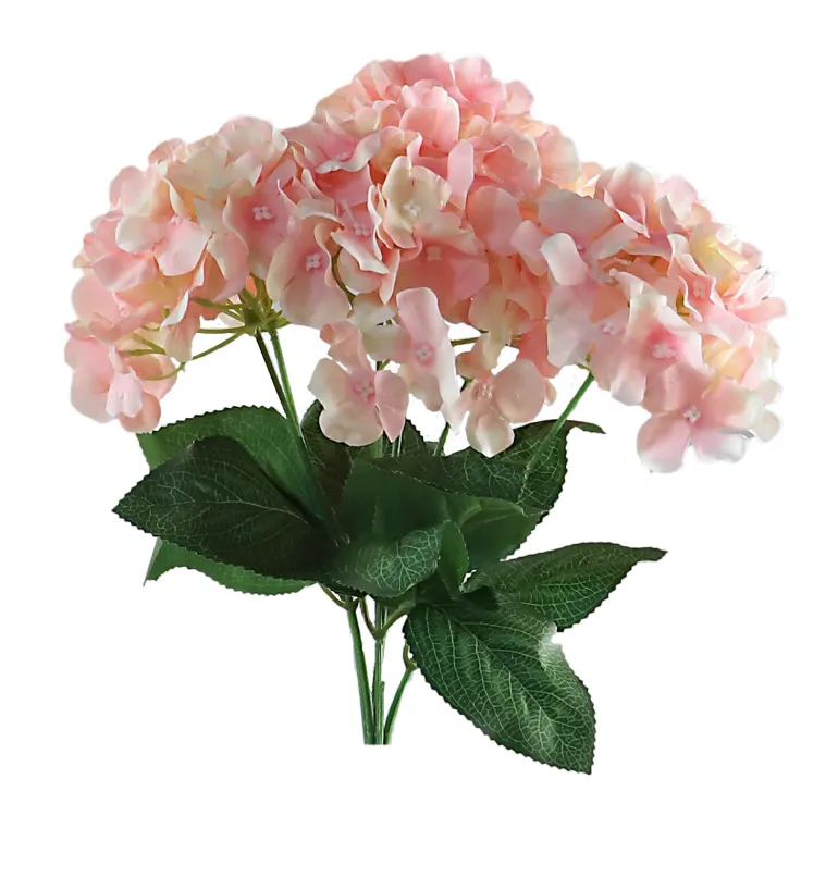 Hortensia Irina