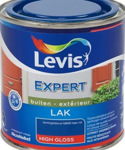 Laque expert high gloss 6845 250 ml