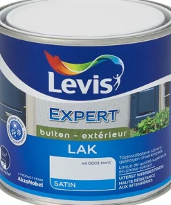 Laque expert satin 0001 0,5 L