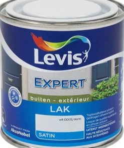 Laque expert satin 0001 250 ml