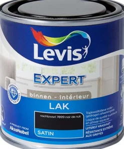 Laque expert satin noir nuit 250 ml