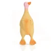 Latex canard petit