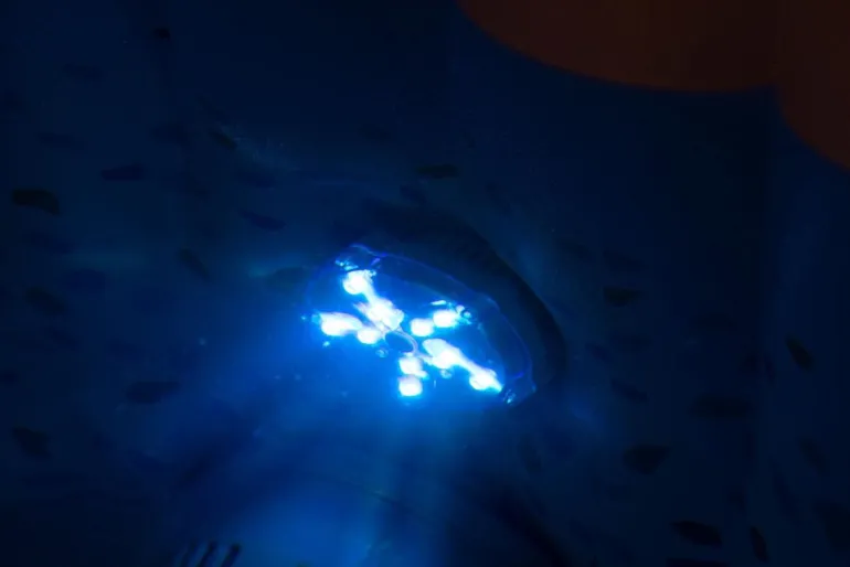 Lay-Z Spa Eclairage LED 7 Couleurs