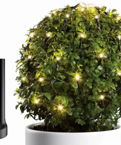 LED Durawise Buis Lumineux - 60 lumières - Blanc chaud