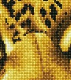 Leopard Spy Diamond Dotz