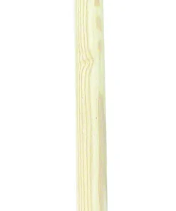 Masse avec manche en frene 5 kg