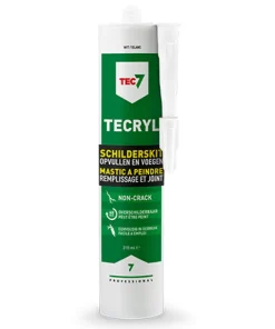 Mastic à peindre Tecryl Blanc 310 ml