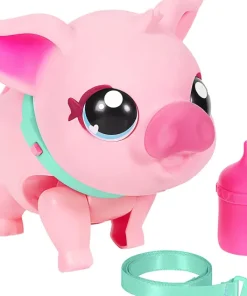 MY PET PIG