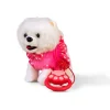 Peluche Ourson Animal de Compagnie Chien Filou