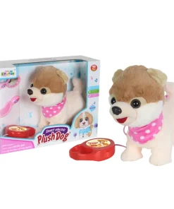 Petit chien Dex