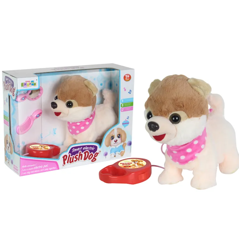 Petit chien Dex