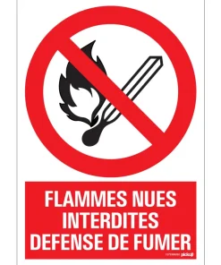 Pictogramme flammes nues 23 x 33 cm