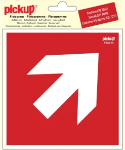 Pictogramme flèche 45° 15 x 15 cm