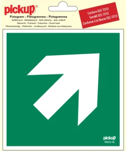 Pictogramme flèche 45° 15 x 15 cm