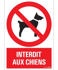 Pictogramme interdit aux chiens 23 x 33 cm