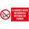 Pictogramme interdit de feu 15 x 30 cm