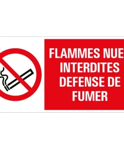 Pictogramme interdit de feu 15 x 30 cm