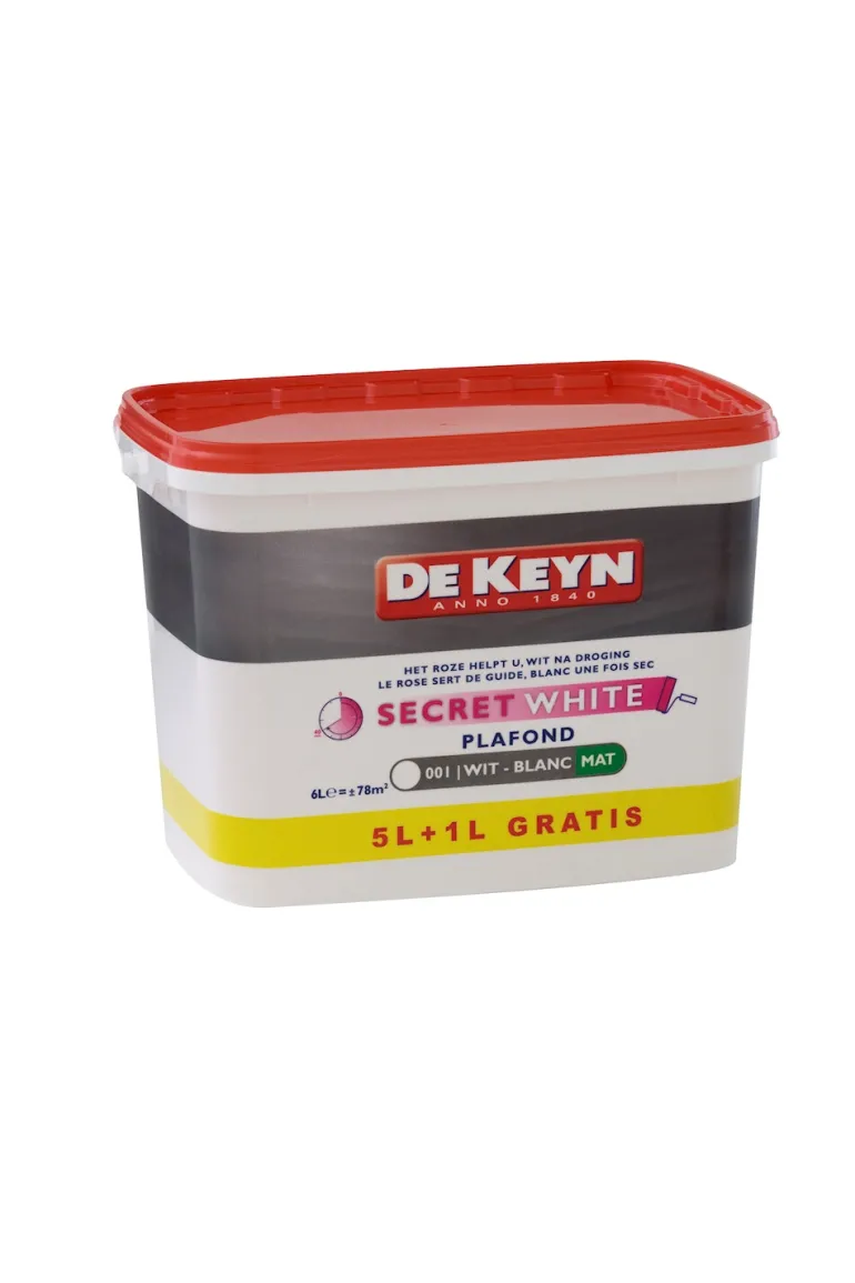 Plafond Secret white 5 + 1 L gratuit