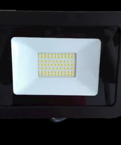 Projecteur LED 30 W