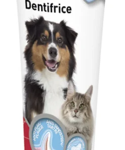 Pâte dentifrice 100 g