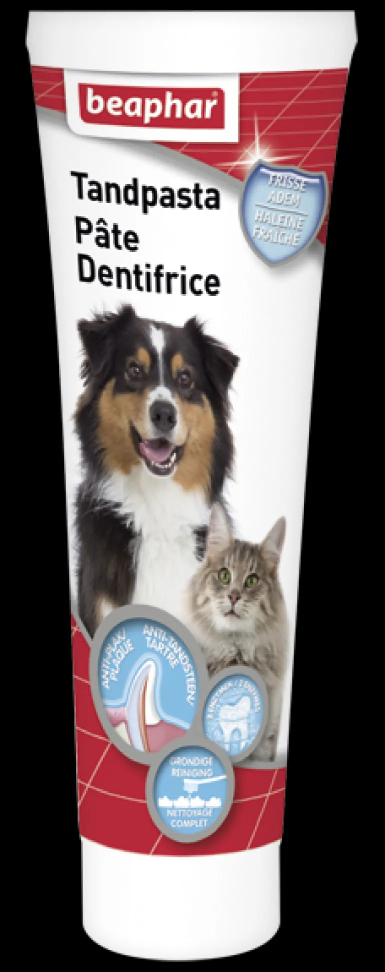 Pâte dentifrice 100 g