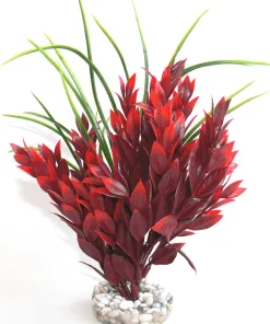 Ruscus L 25 cm