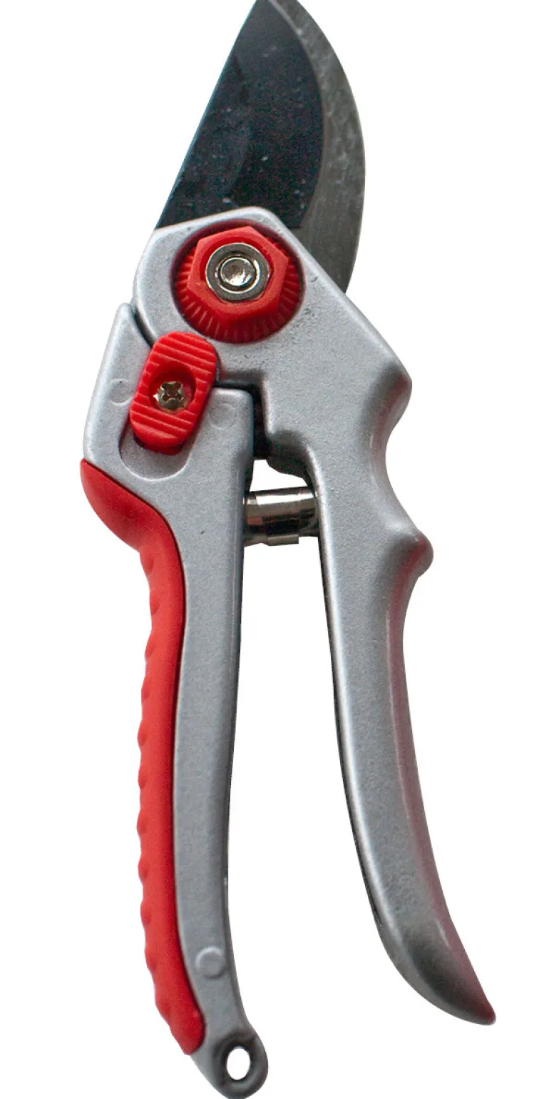 secateur de luxe