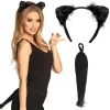 Set Chat - tiare et queue
